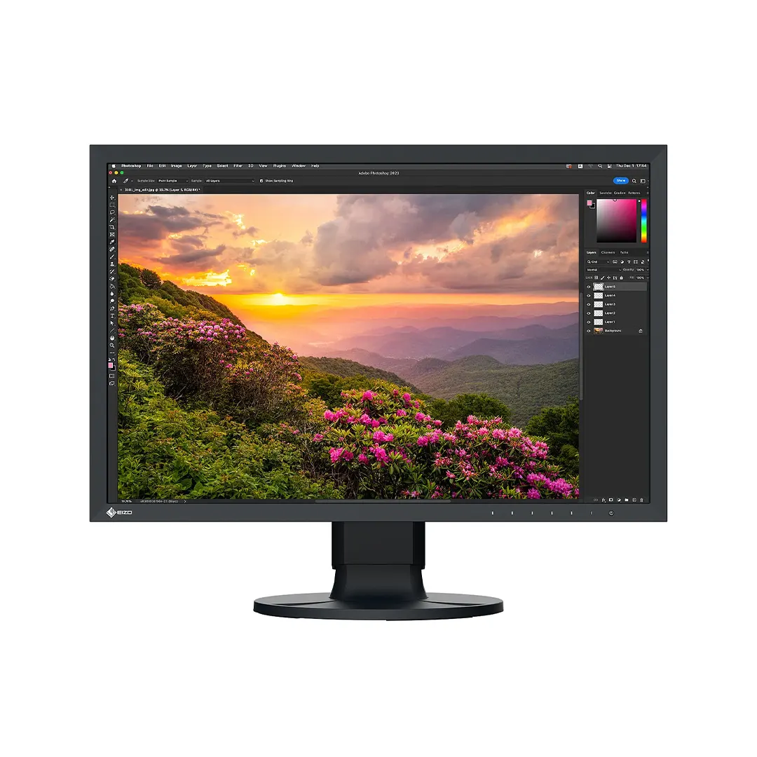 Monitores grado médico CS2400S